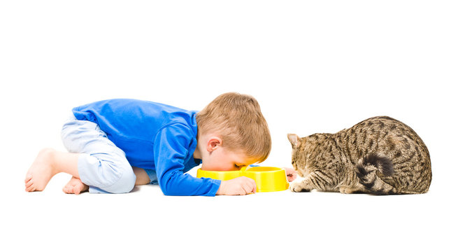 Boy and cat eating together