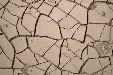 Cracks in dry and parched earth