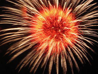 Colorful and vibrant fireworks
