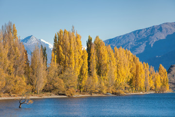 Lake Wanaka