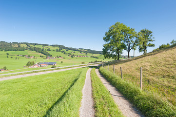 Fototapeta na wymiar Oberallgäu