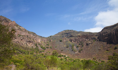 Fototapeta na wymiar Gran Canaria, Caldera de Bandama,