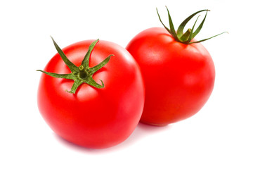 Frische tomaten
