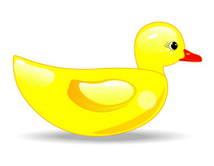 duck