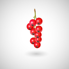 A currant icon