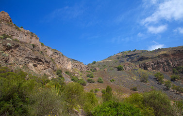 Fototapeta na wymiar Gran Canaria, Caldera de Bandama