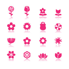 flower vector set