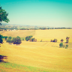 Obraz premium Sloping Meadows