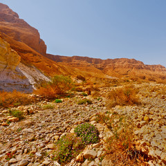 Fototapeta premium Stone Desert