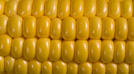 Corn Macro