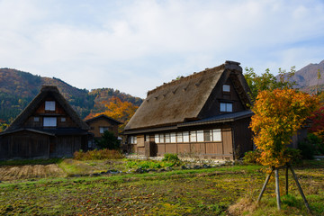 Fototapeta na wymiar Historic Village of Shirakawa-go in autumn