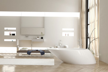 Fototapeta na wymiar Modern bathroom with a funky white bathtub