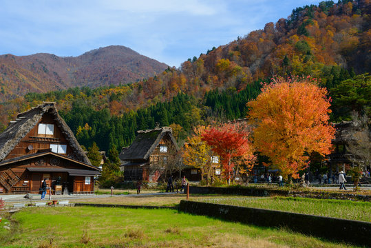 Historic Village of Shirakawa-go in autumn