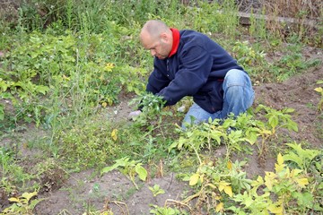 man gardening