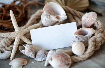 Maritime background with Blank Card and seashells