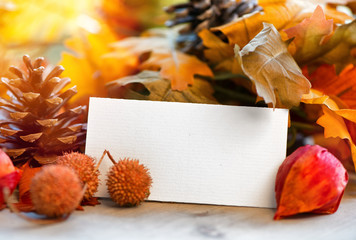 Herbst Hintergrund mit Blättern und leerer Karte (coypspace)