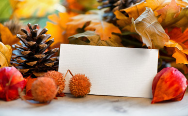 Leere Karte vor Herbst Hintergrund mit bunten Blättern
