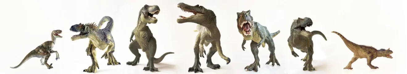 Foto op Plexiglas Dinosaurus Een groep van zeven dinosaurussen op een rij