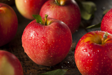 Raw Organic Red Gala Apples