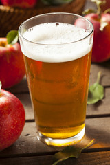 Hard Apple Cider Ale