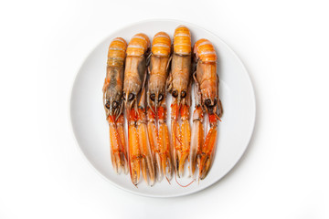 Langoustine  (Nephrops norvegicus) isolated on a white studio ba