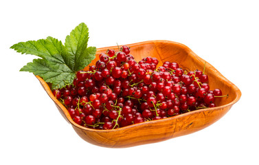 Red currant