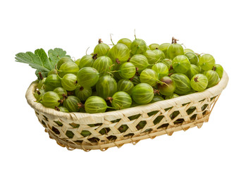Gooseberry
