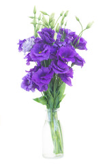 Naklejka na ściany i meble bouquet of violet eustoma flowers