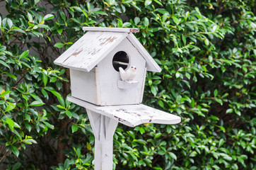Wooden bird house with green