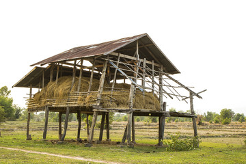 shack for storage of rice straw.