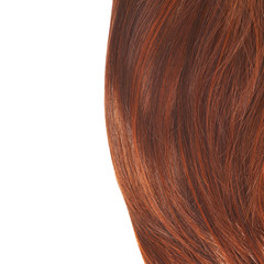 Hair fragment over the white