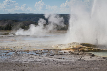 Yellowstone geyser