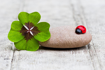 four leaf clover and ladybug with stone on wood