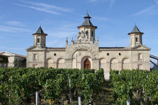 ch&acirc;teau du vignoble bordelais