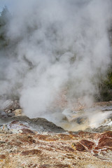 active geyser