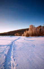 Fototapeta na wymiar Winter landscape, Russia