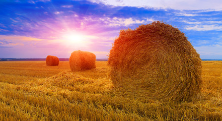 hay rolls on sunset background