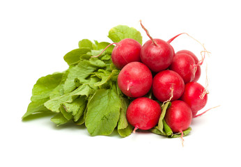 radish isolated