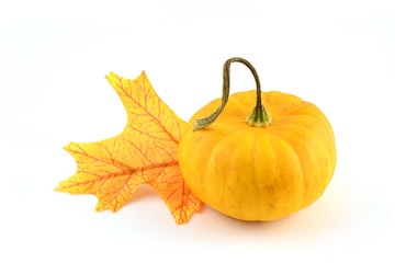 Ornamental miniature pumpkin with leaf