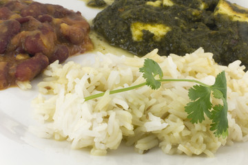 Sag Paneer - authentic Indian food