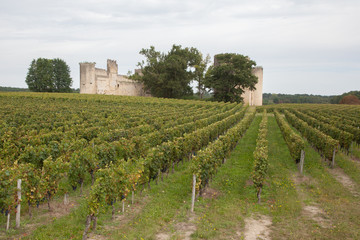 Fototapeta na wymiar Vignes et château à la campagne