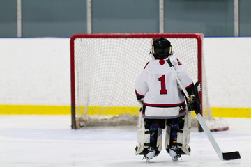 Hockey goalie skating the net