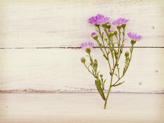 flower  on wooden table near wall