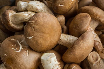 Fresh Shiitake Mushroom .