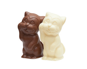 Image of delicious chocolate cats, close-up