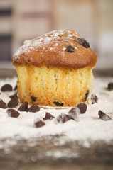 delicious homemade muffin cake dessert cupcake pastry