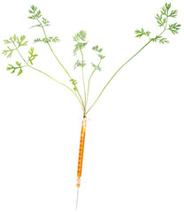 Carrot Injection (over white)