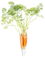 Vitamin Injection (Carrots)