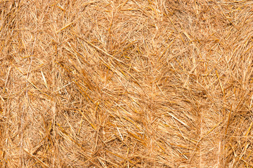 Haystacks texture