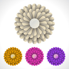 Set of blossom flower illustration